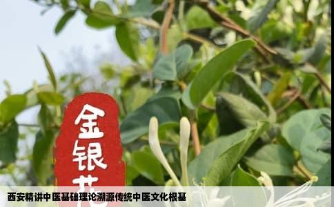 西安精讲中医基础理论溯源传统中医文化根基