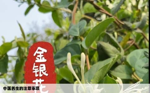 中医养生的注意事项