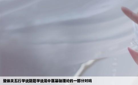 整体关五行学说阴阳学说是中医基础理论的一部分对吗