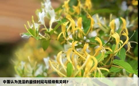 中医认为洗澡的最佳时间与经络有关吗？