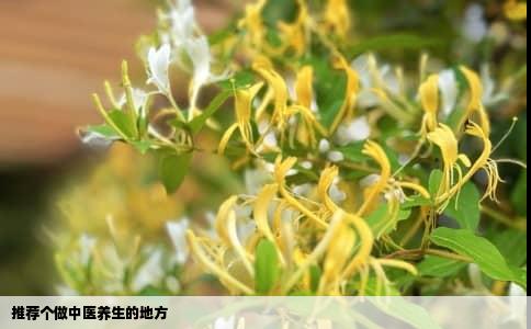 推荐个做中医养生的地方