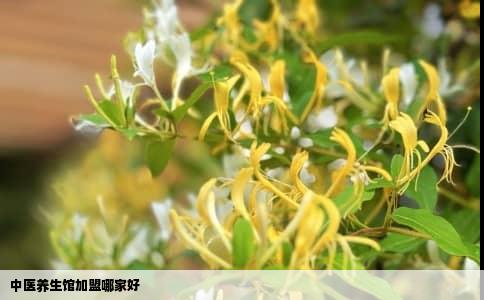 中医养生馆加盟哪家好