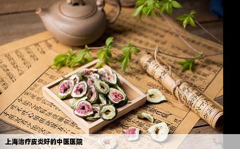 上海治疗皮炎好的中医医院