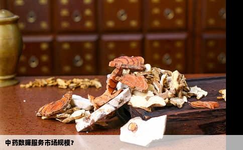 中药数据服务市场规模？