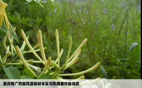 重庆推广药食同源食材丰富市民健康饮食选择