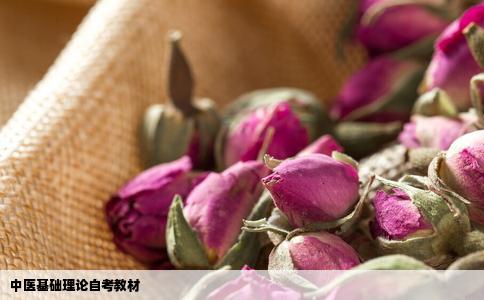中医基础理论自考教材