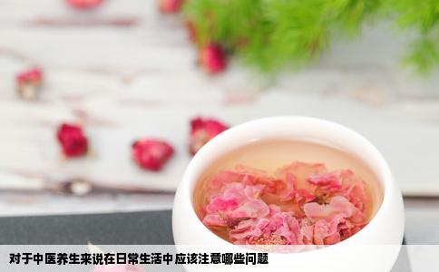 对于中医养生来说在日常生活中应该注意哪些问题