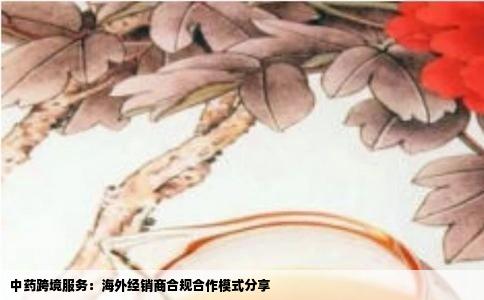 中药跨境服务：海外经销商合规合作模式分享