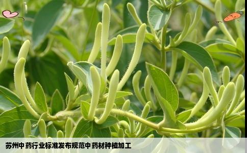 苏州中药行业标准发布规范中药材种植加工