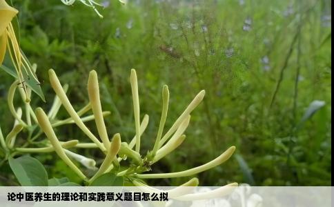 论中医养生的理论和实践意义题目怎么拟