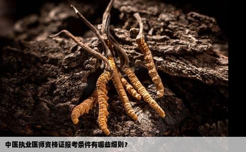 中医执业医师资格证报考条件有哪些细则？
