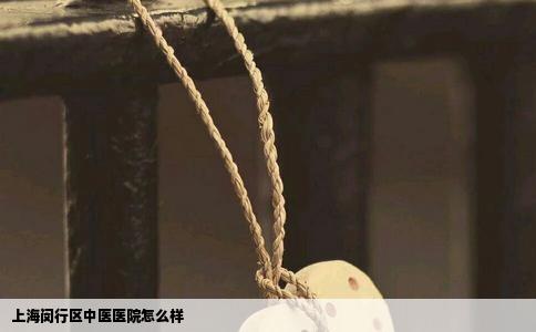 上海闵行区中医医院怎么样