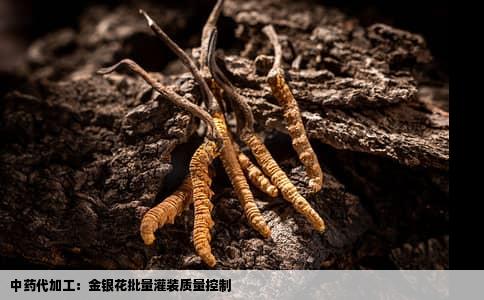 中药代加工：金银花批量灌装质量控制