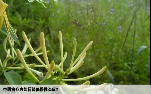 中医食疗方如何降低慢性炎症？