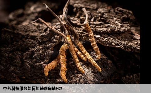 中药科技服务如何加速临床转化？