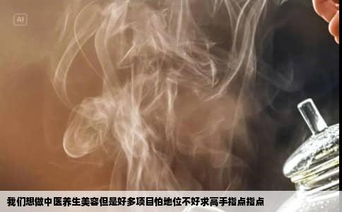 我们想做中医养生美容但是好多项目怕地位不好求高手指点指点
