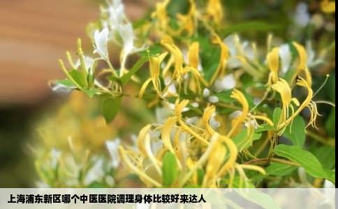 上海浦东新区哪个中医医院调理身体比较好来达人