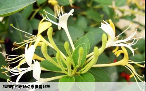 福州中药市场动态供需分析