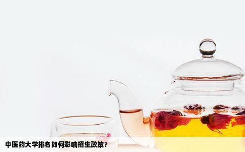 中医药大学排名如何影响招生政策？