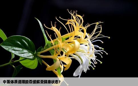 中医体质调理能否缓解亚健康状态？
