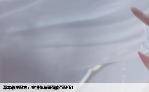 草本养生配方：金银花与薄荷能否配伍？