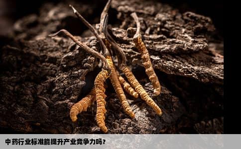 中药行业标准能提升产业竞争力吗？