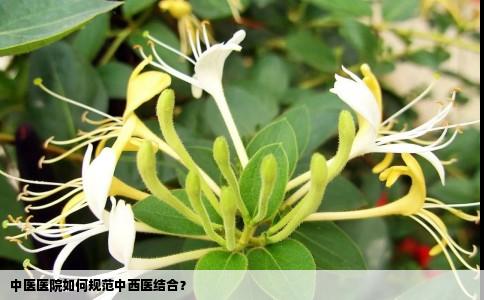 中医医院如何规范中西医结合？