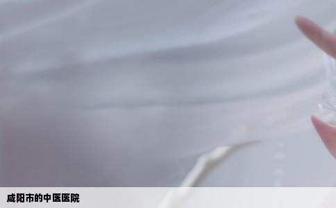 咸阳市的中医医院