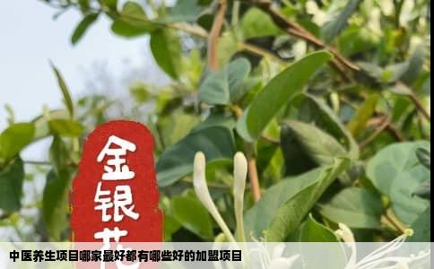 中医养生项目哪家最好都有哪些好的加盟项目