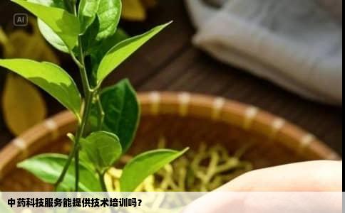 中药科技服务能提供技术培训吗？